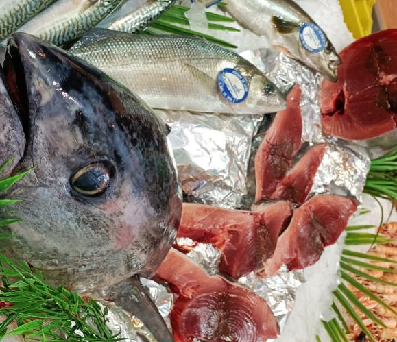 Poissons frais Poissons frais