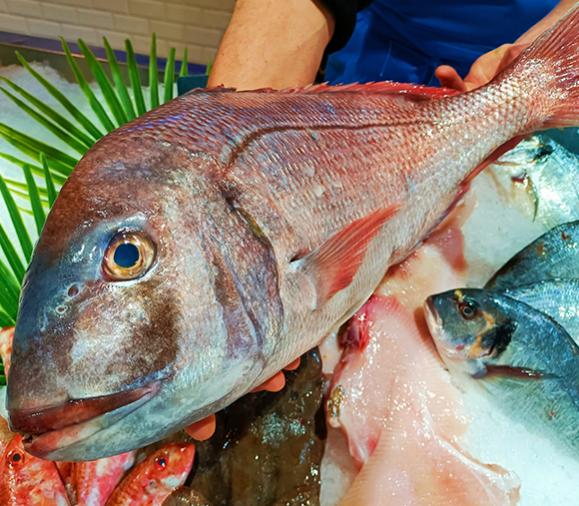 Vente de poissons