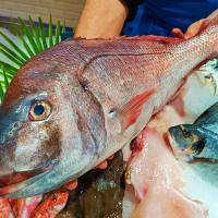 Plateau de fruits de mer 